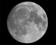 Mond am 31.10.01 - Mondalter 13,6 Tage - Webcammosaik mit 3" Zeiss Refraktor